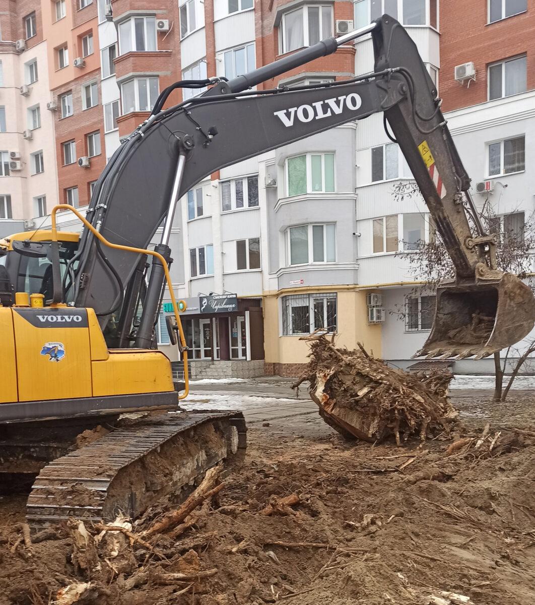 Корчевание-пней Корчевание пней